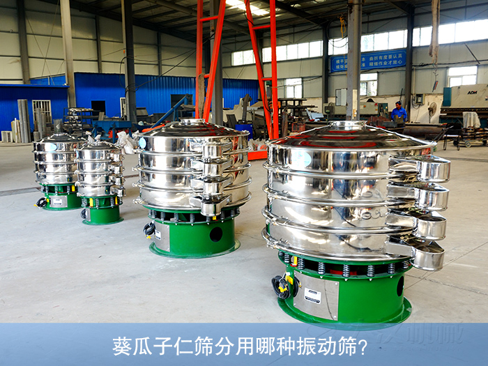 葵瓜子仁振動篩