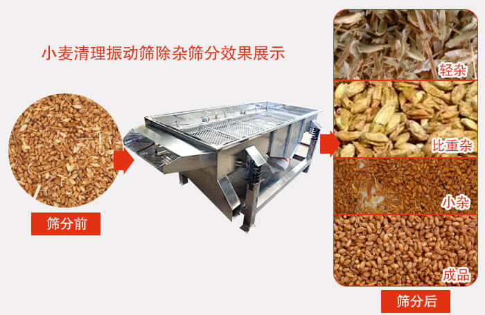 小麥清理振動(dòng)篩小麥篩分效果展示圖可同時(shí)篩分出輕雜，比重雜，小雜，成品等四個(gè)等級(jí)。